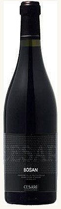 Cesari Bosan Amarone 2005