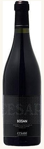 Cesari Bosan Amarone 2005