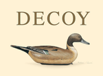 Decoy Sonoma County Pinot Noir 2015 (750 ml)